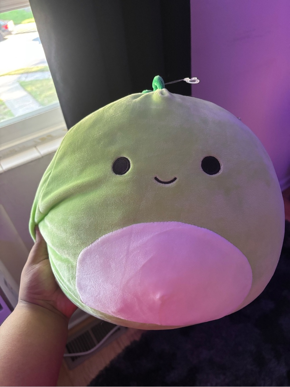 Squishmallows Danny the Green Dinosaur Plush 8” NWT